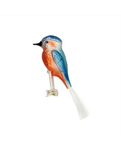 Kingfisher, Bird