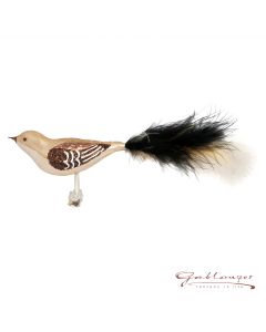 Großer Glasvogel, 18 cm, braun mit zweifärbigem Federschwanz