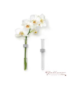 Wandvase mit Reagenzglas