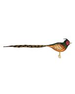 Pheasant, Bird