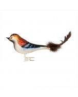 Bird, Kiwi, brown with feathers