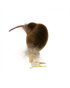 Glasvogel, Kiwi, braun beflockt mit Federn
