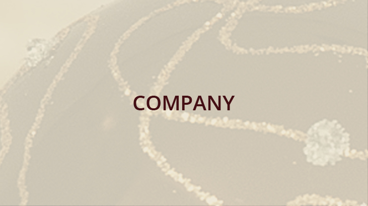 Company